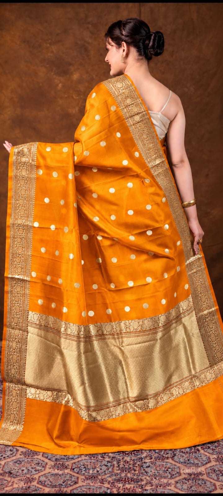 Banarasi Kora Organza Sari