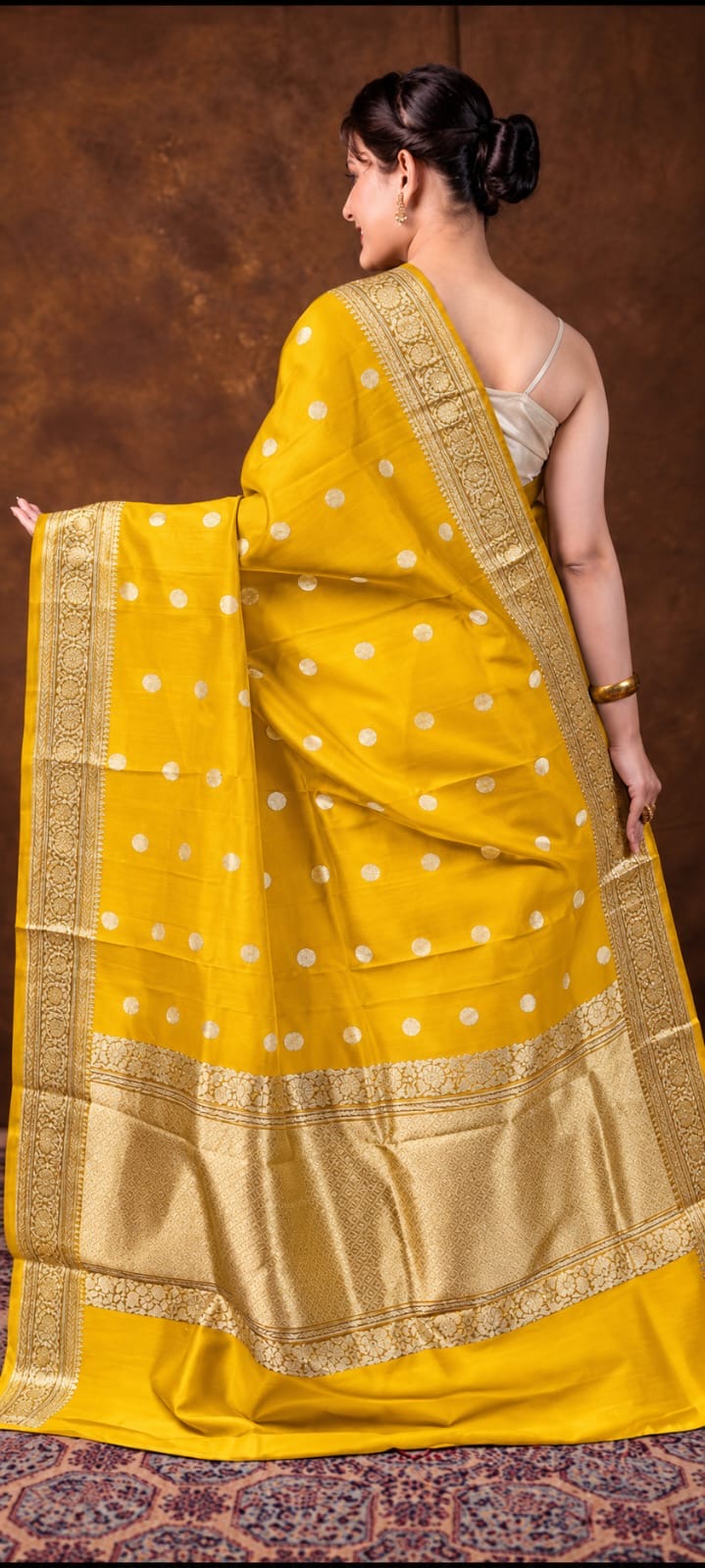 Banarasi Kora Organza Sari