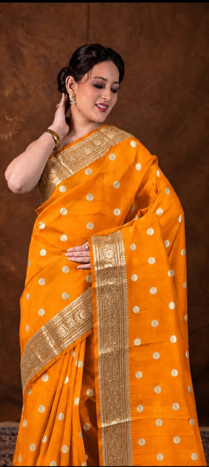 Banarasi Kora Organza Sari