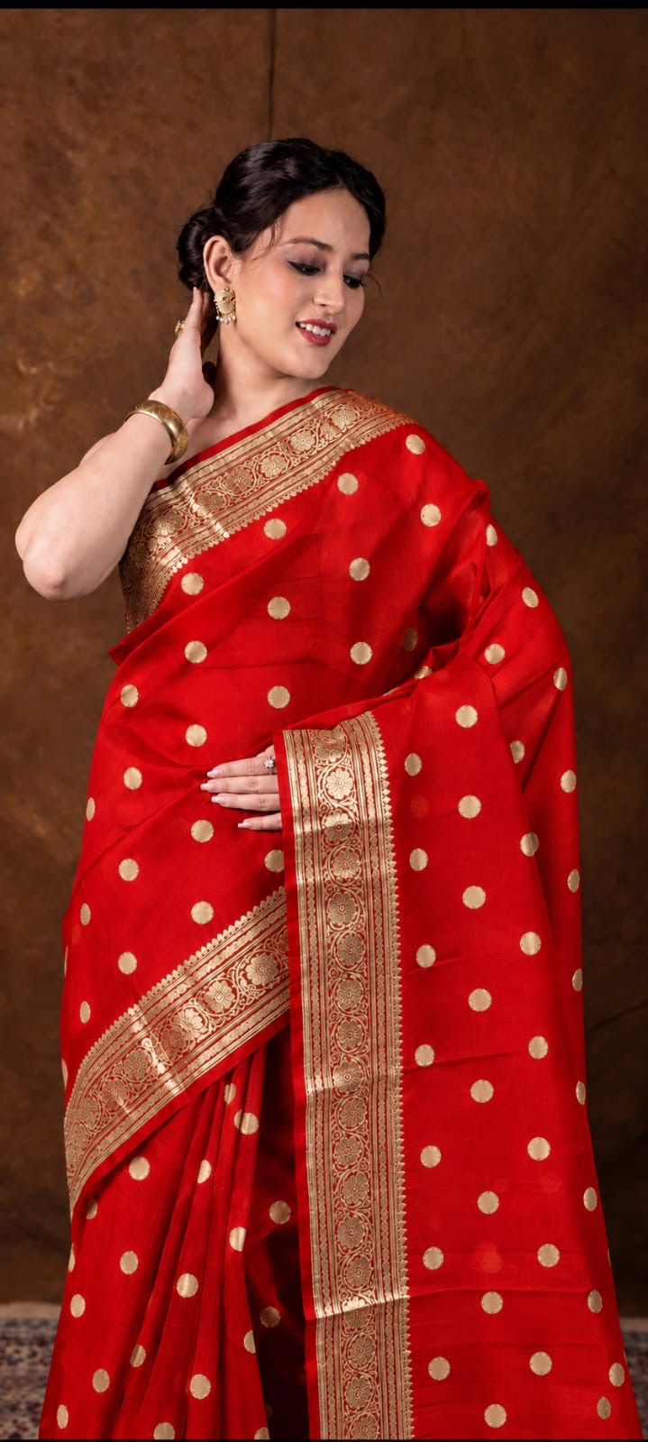 Banarasi Kora Organza Sari